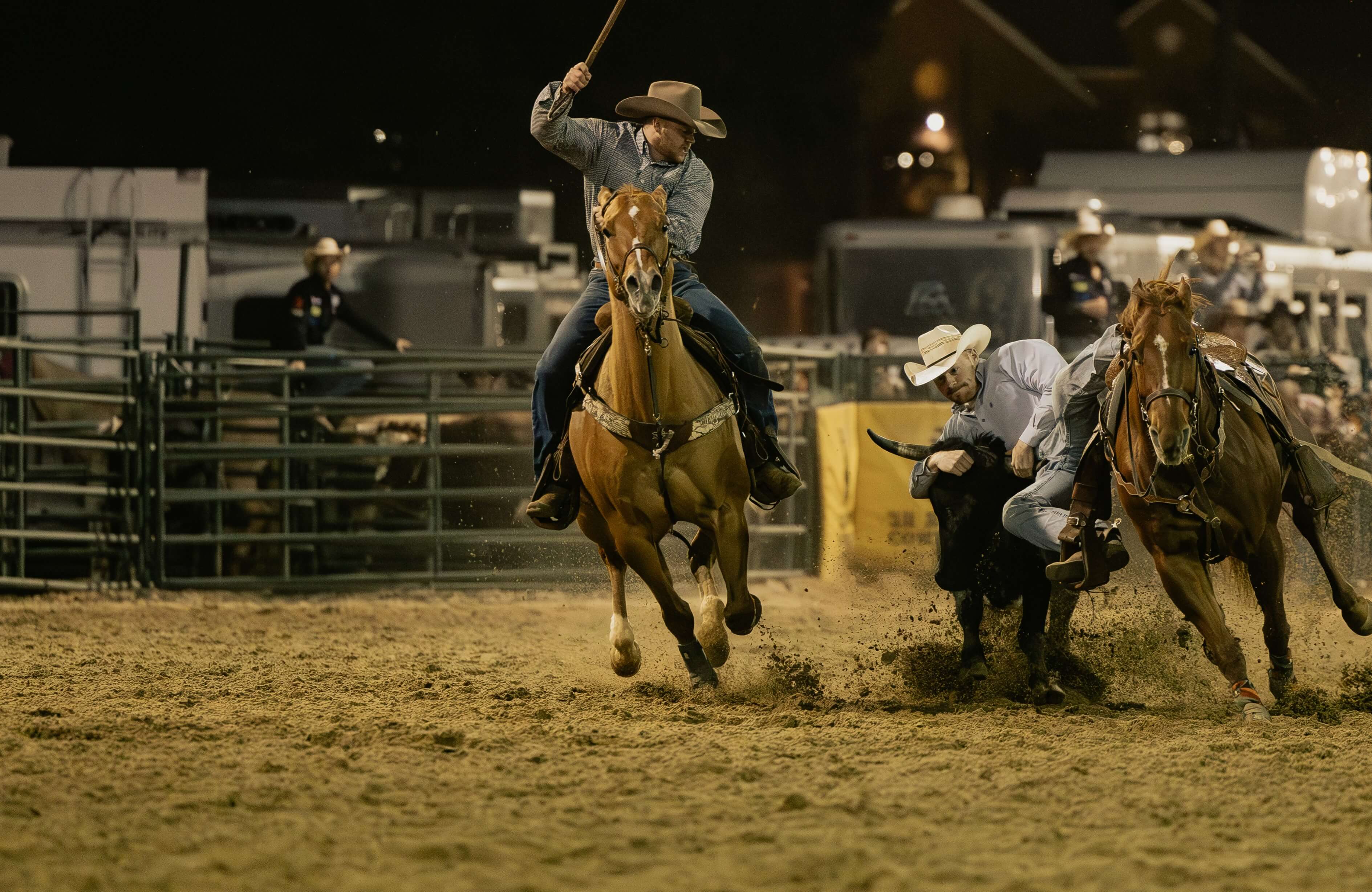 Person riding a horse and holding American flag