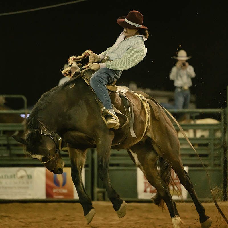 person riding a horse at a rodeo