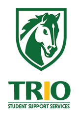 trio sss logo
