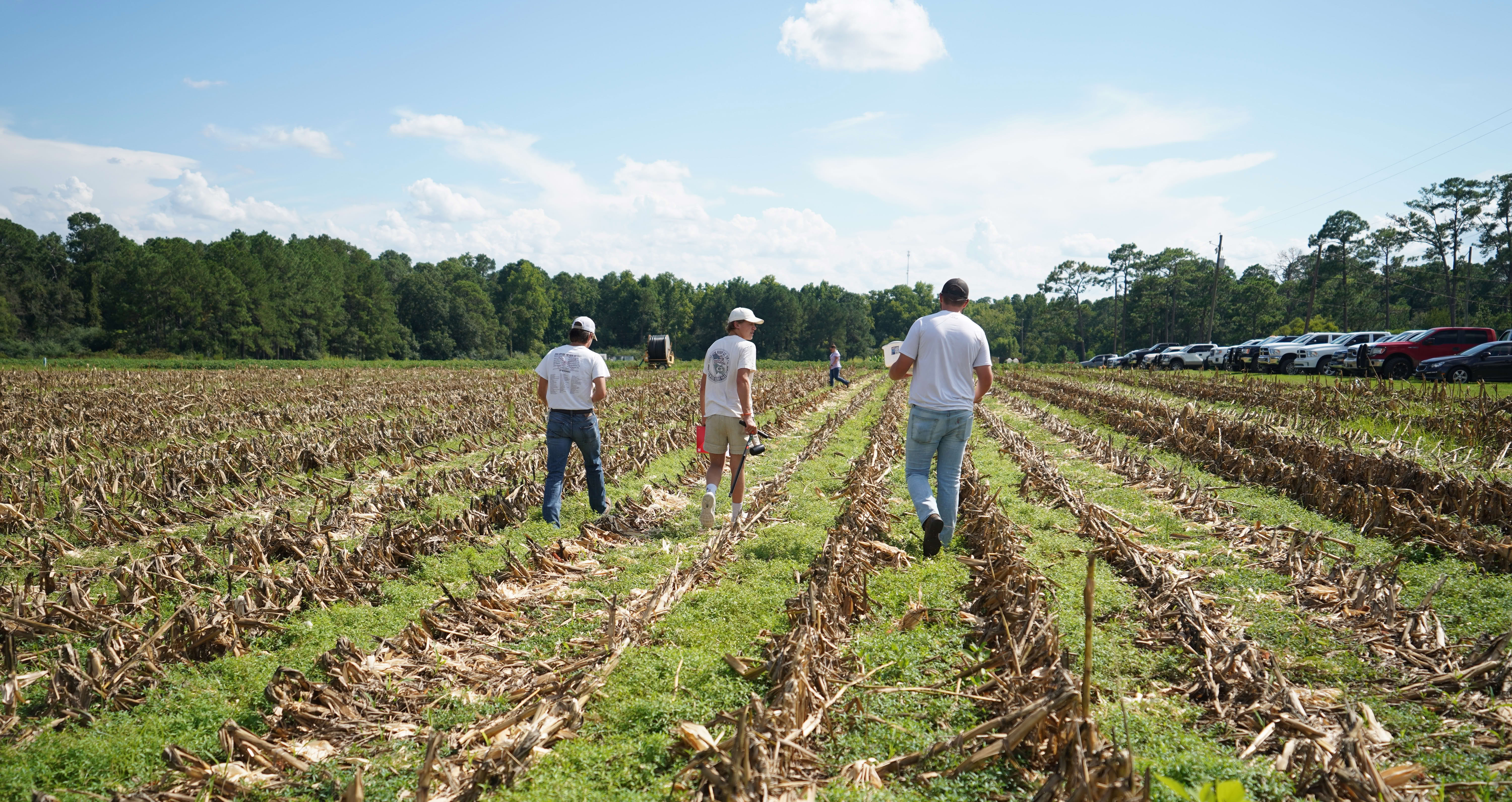 students walking in a field
