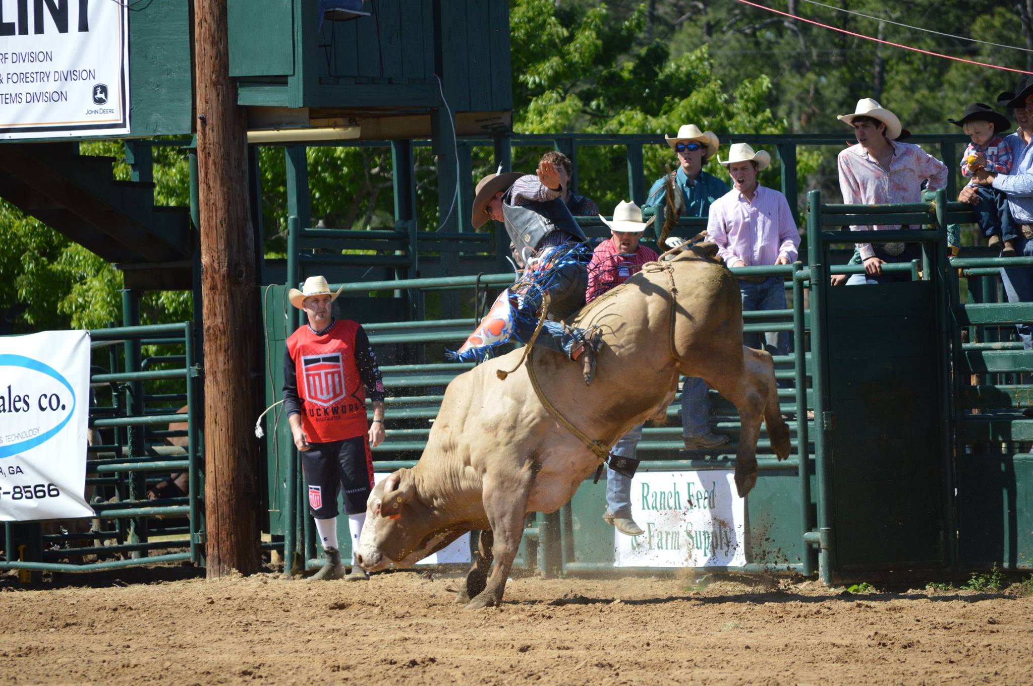 Cowboy riding a bull at a rodeo.
