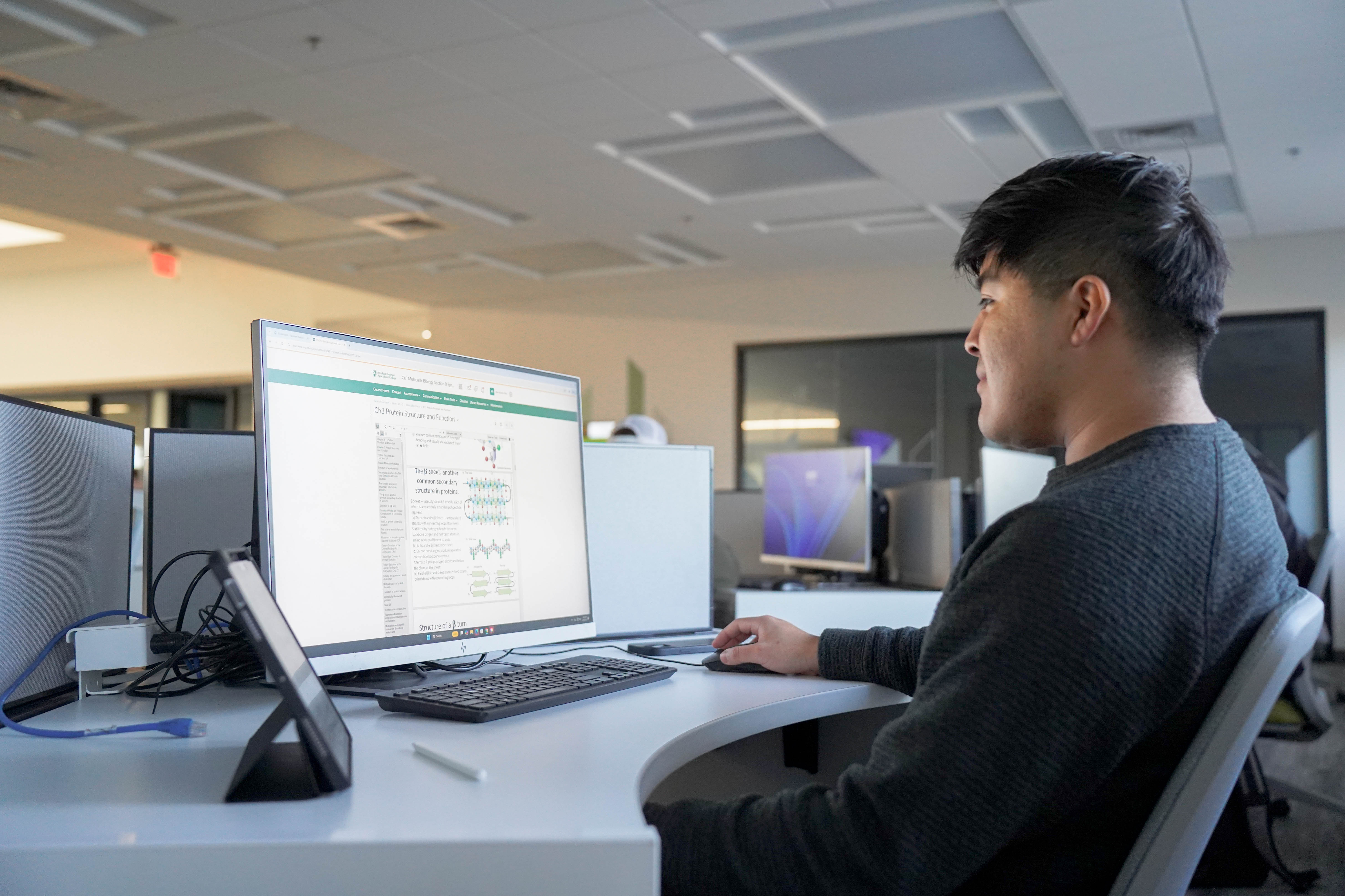 female student using computer