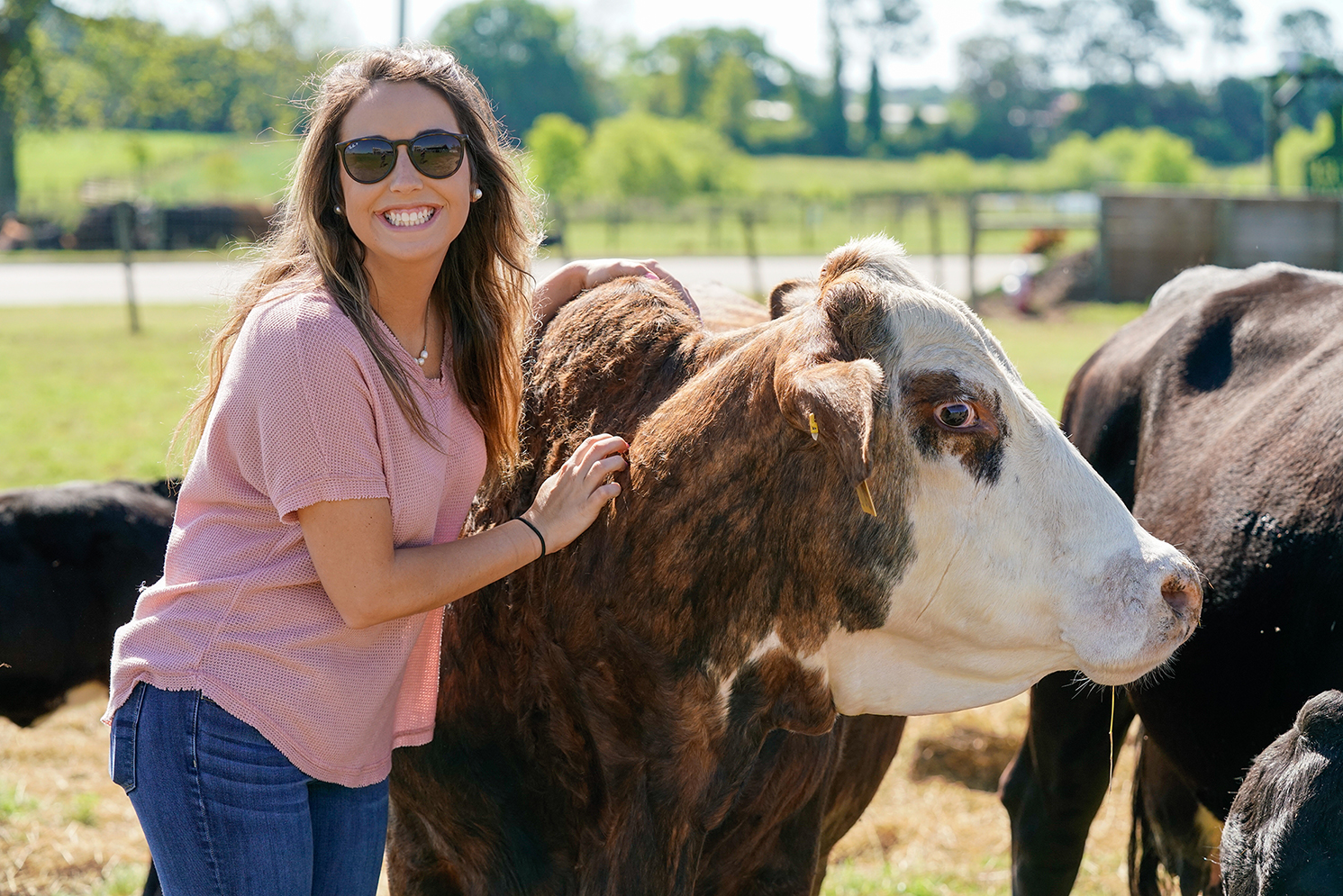 student with pumpkin, the cow