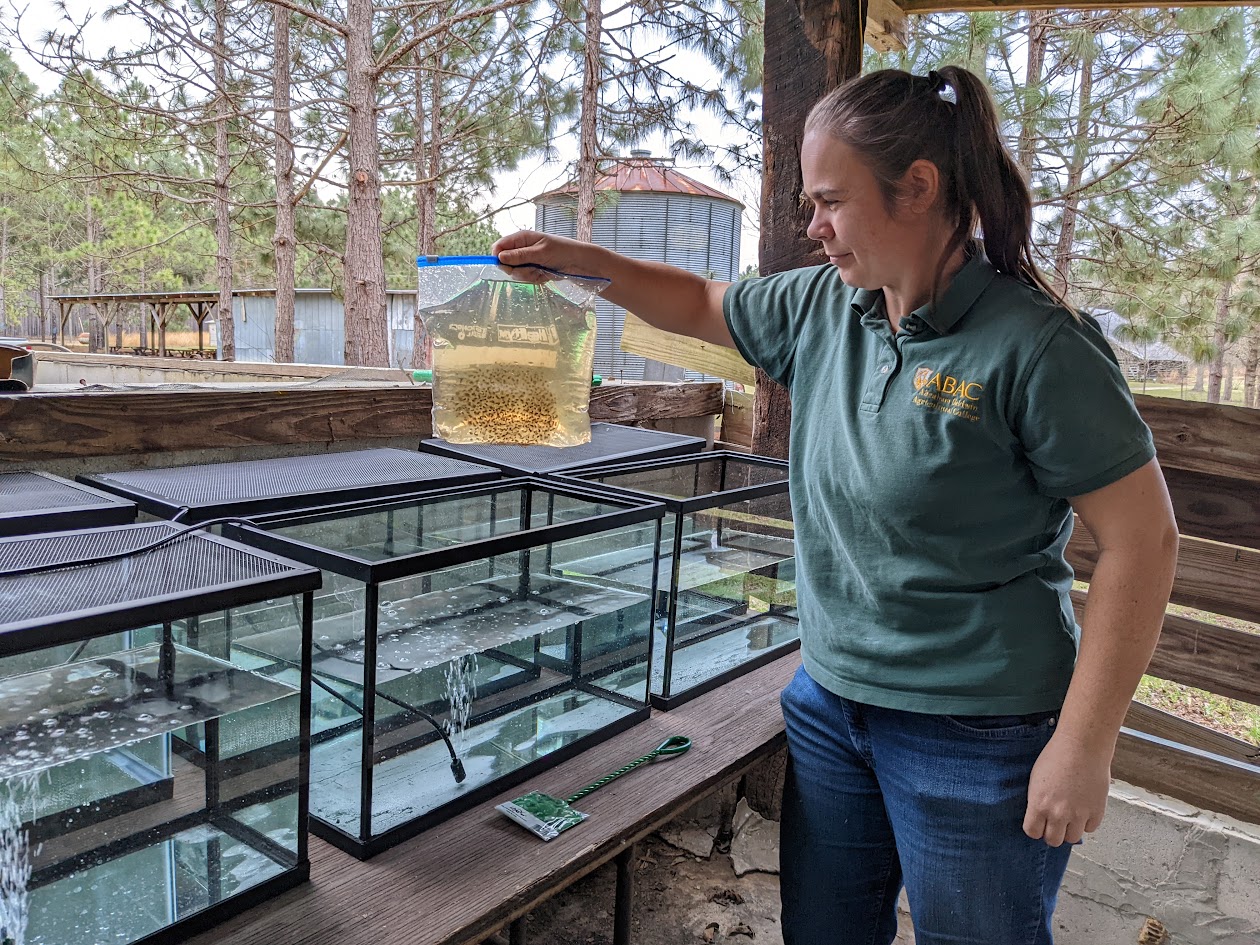dr. vanessa lane with a bag of gopher frog eggs