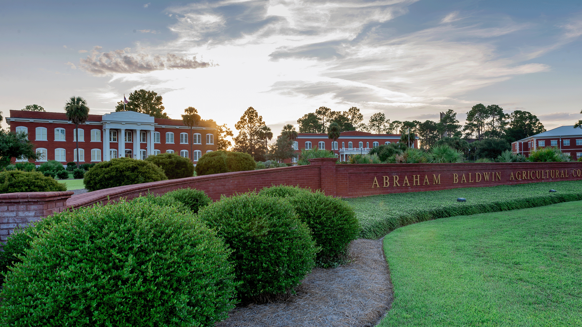 Photo of the bronze ABAC stallion featuring a sunburst.