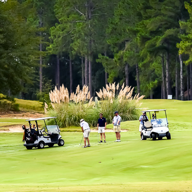 Golfers on the course During SANR Classic