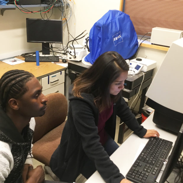 students in Biology Mentored Research program